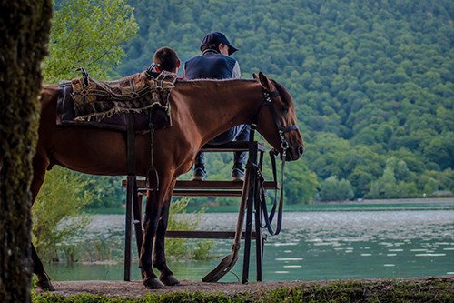 Horseback Adventure