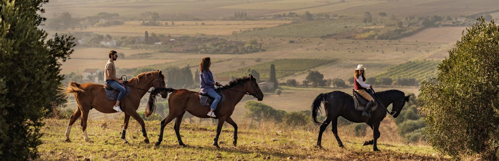 Horseback Adventure