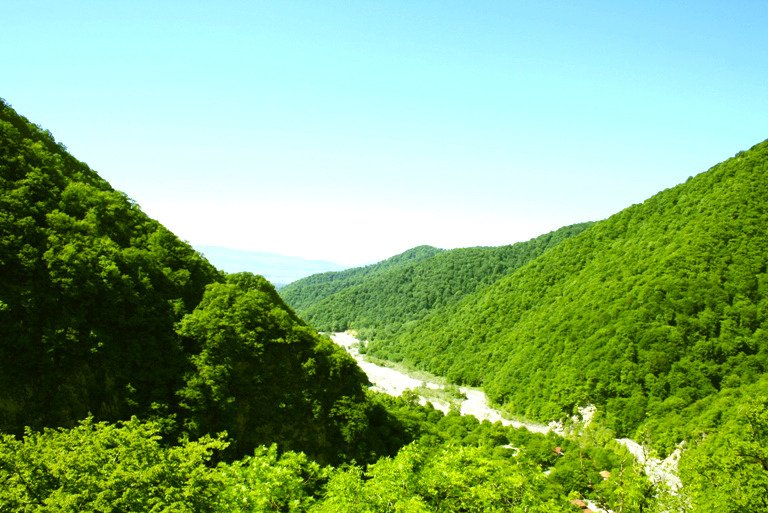  - Image 5