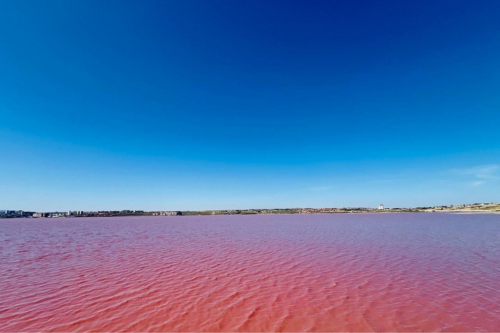  - Image 7