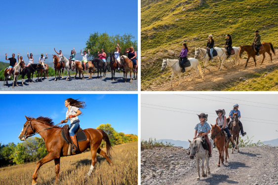 Horseback Riding Tour